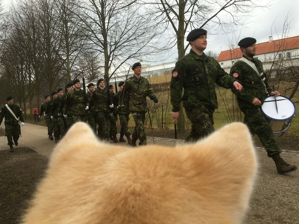 Фото Fredensborg Vandrerhjem - Hostel