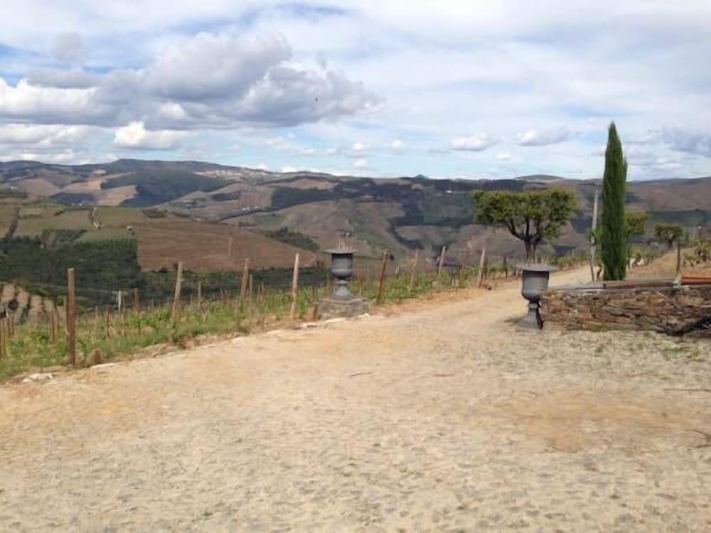 Фото Quinta dos Espinheiros