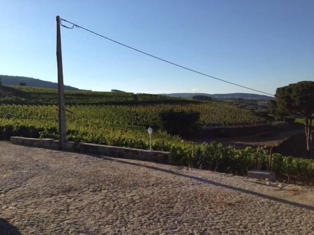 Фото Quinta dos Espinheiros