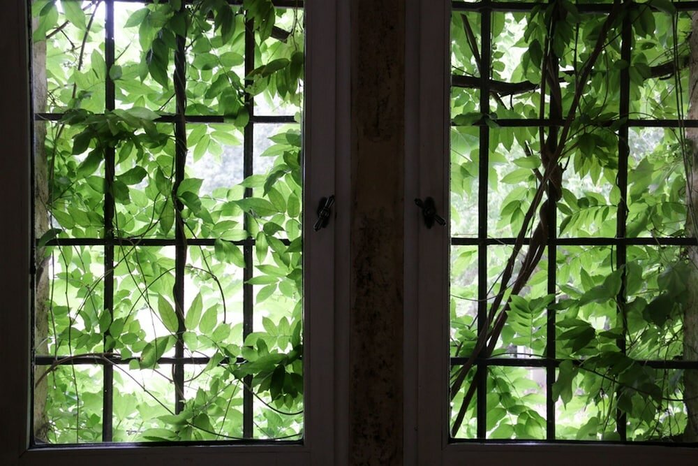 Фото La Bastide du Roy Rene