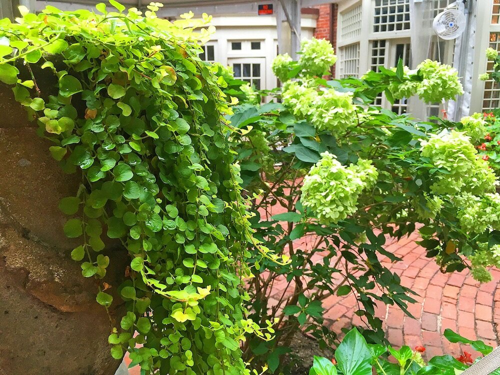 Фото Morris House Hotel