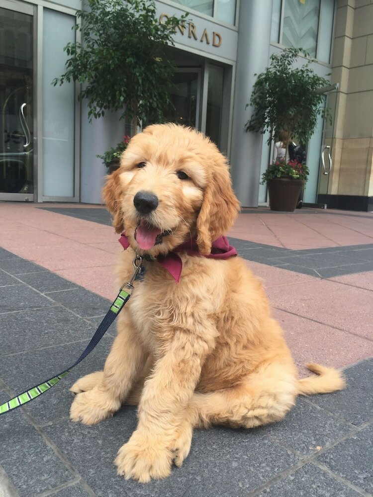 Фото Conrad Indianapolis