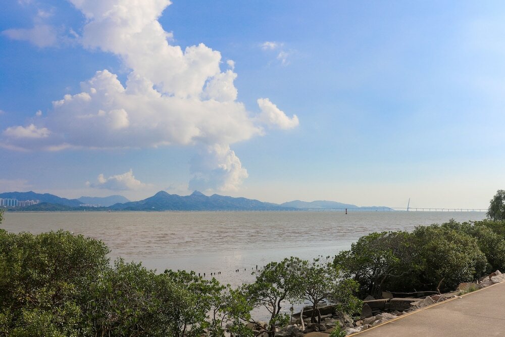 Фото ShenzhenAir International Hotel