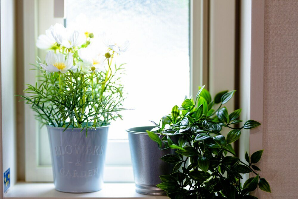 Фото Id Stay Kawaguchiko II