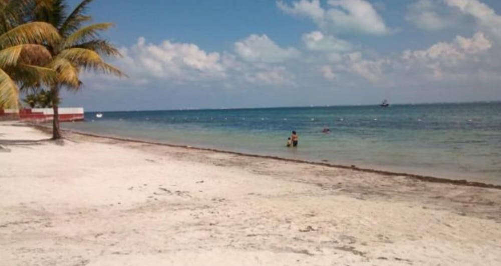 Фото Peaceful & Confortable Oceanfront Studio