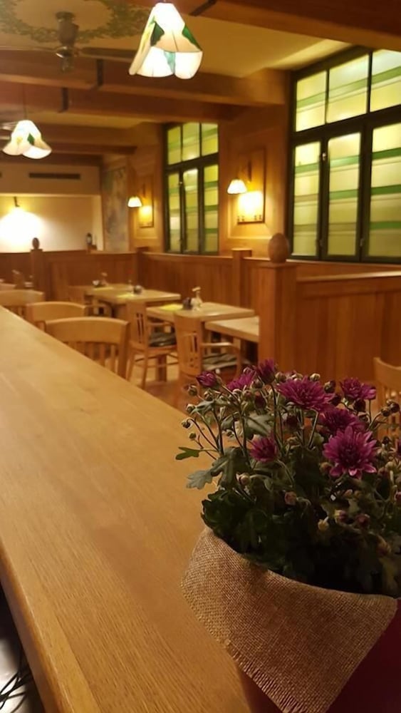 Фото Hotel Zlaty Lev Zatec