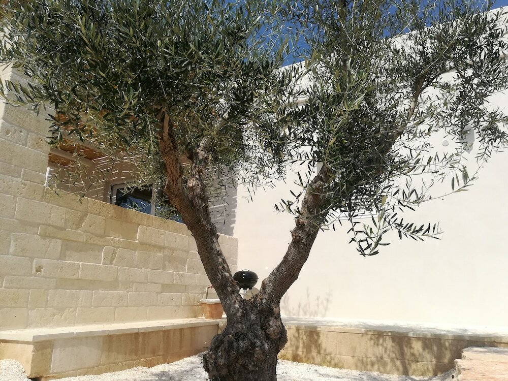 Фото Dimora il Mandorlo