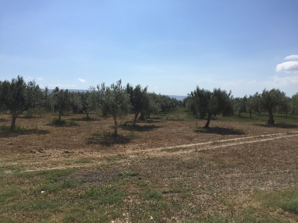 Фото Dimora di Dante