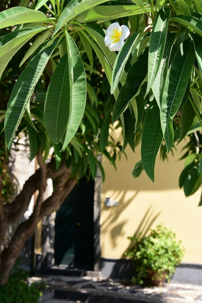 Фото Giardino Arancio