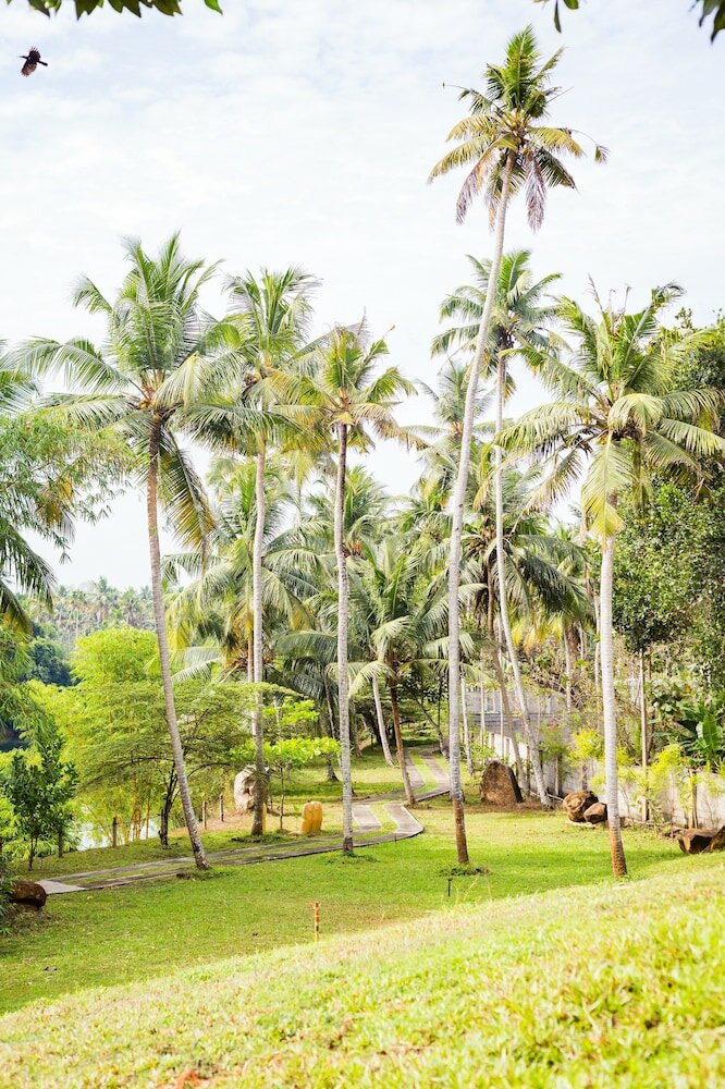 Фото Mekosha Ayurveda SPA Retreat