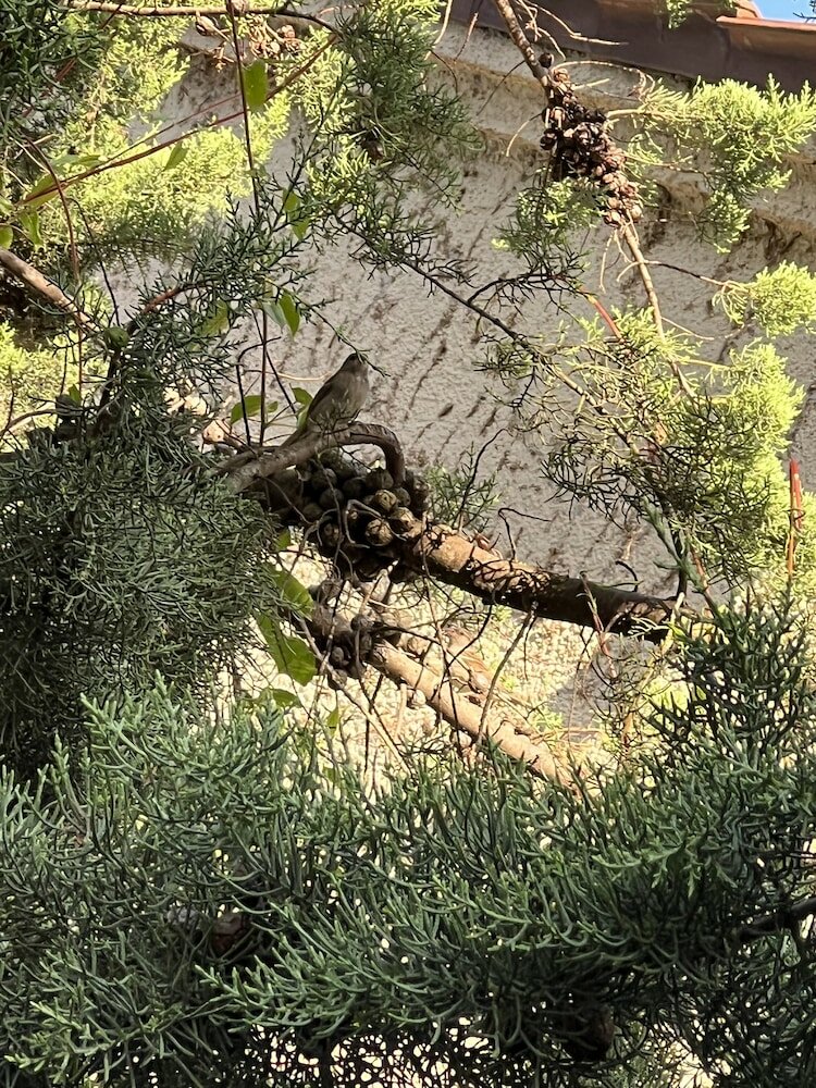 Фото Carli's Base Camp