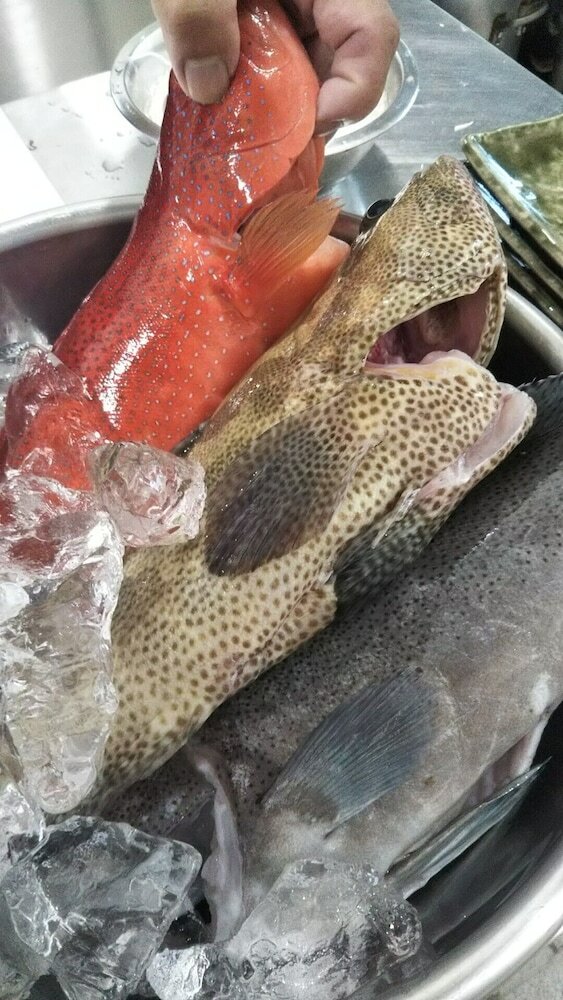 Фото Minsyuku funatsukiba