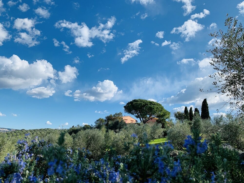 Фото Tenuta Agricola Fraschiera