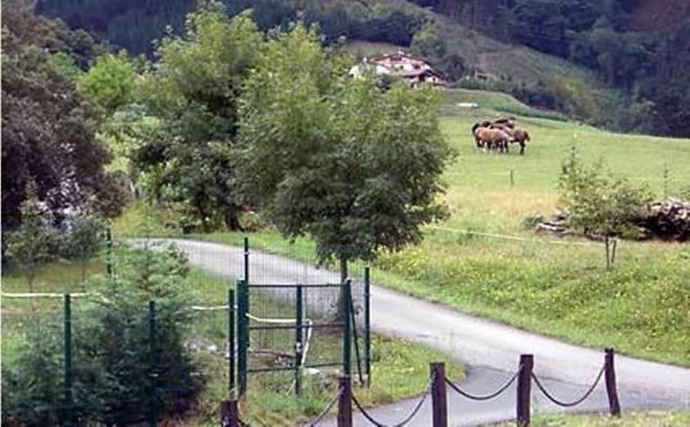 Фото Tolare Berri