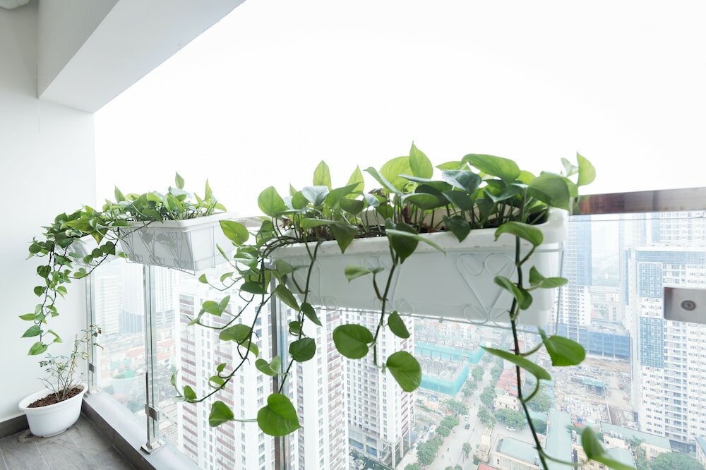 Фото Luxury Apartment Imperia