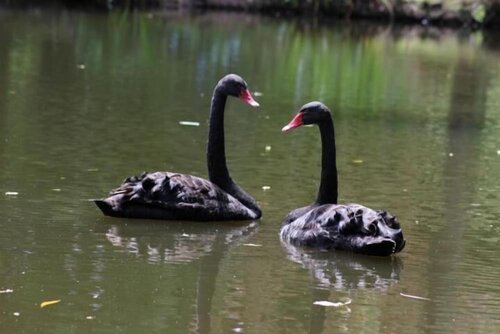 Гостиница Propriété de la Mer d'Iroise в Кемпере