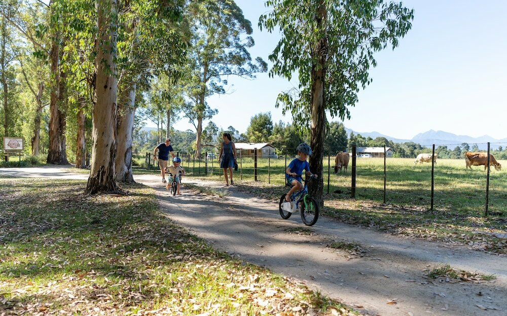 Фото AfriCamps at Oakhurst- Glamping