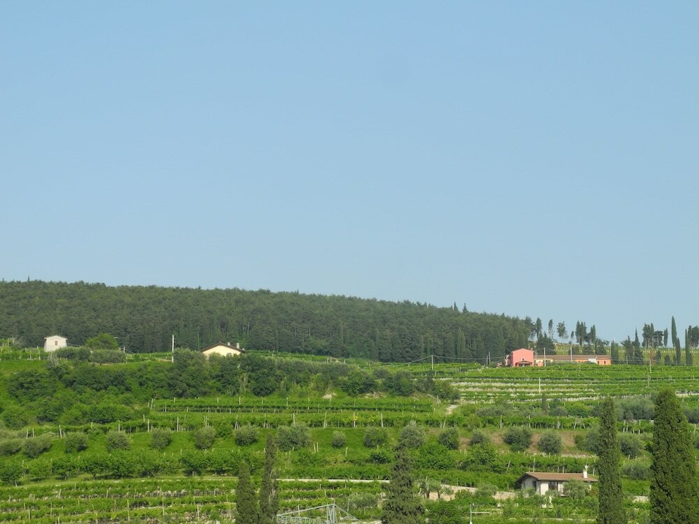 Фото B&b Mimosa e Lillà