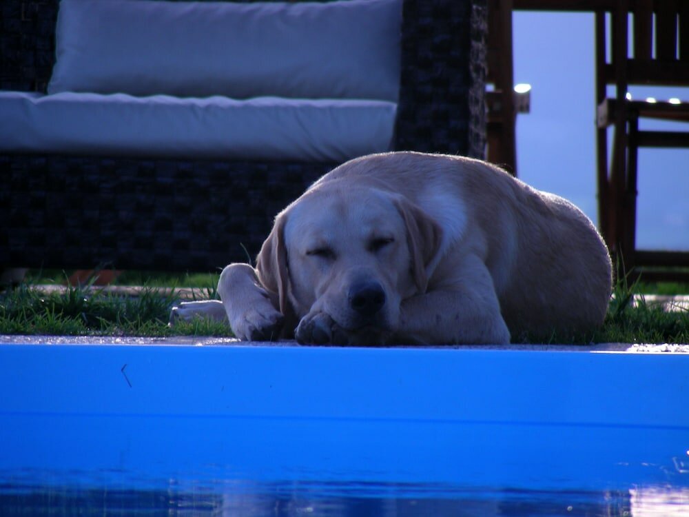 Фото Villa Podere Quartarola