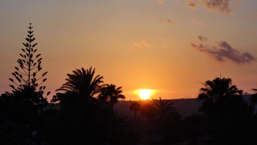 Фото Apartamentos Aloe