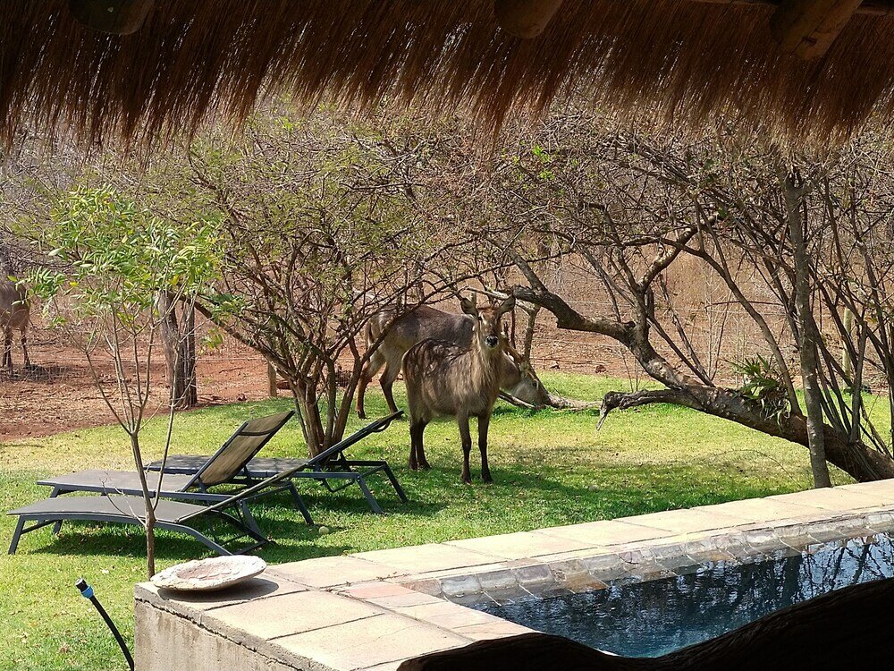 Фото Call of the Wild Lodge