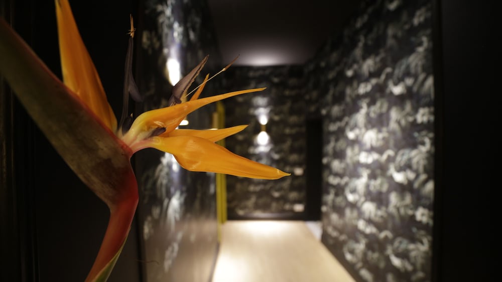 Фото Suitelifetrevi