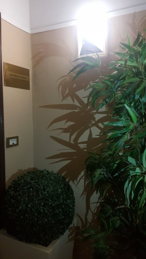 Фото Candia rooms