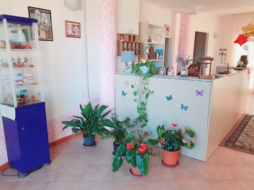 Фото Hotel Bena e Traes