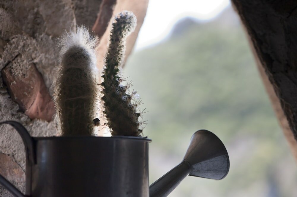 Фото Il Comignolo di Sofia