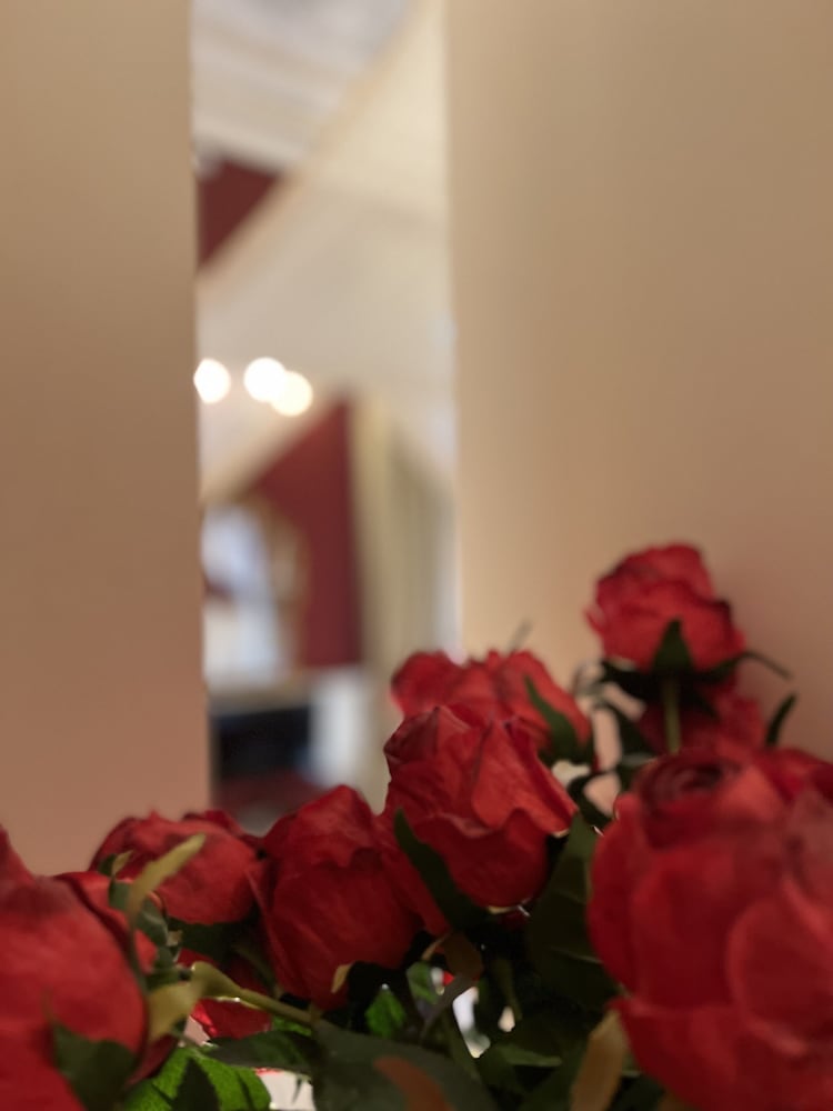 Фото Ruzzini Palace Hotel