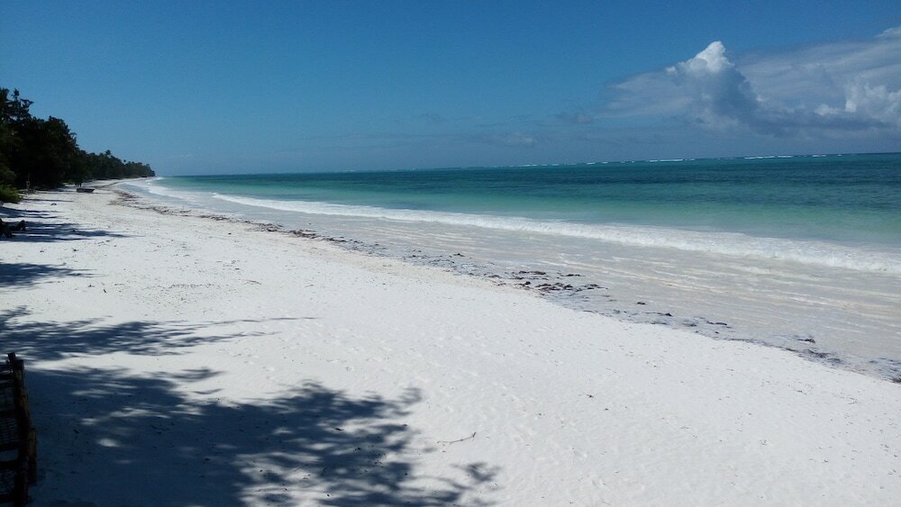 Фото Twisted Palms Lodge & Restaurant