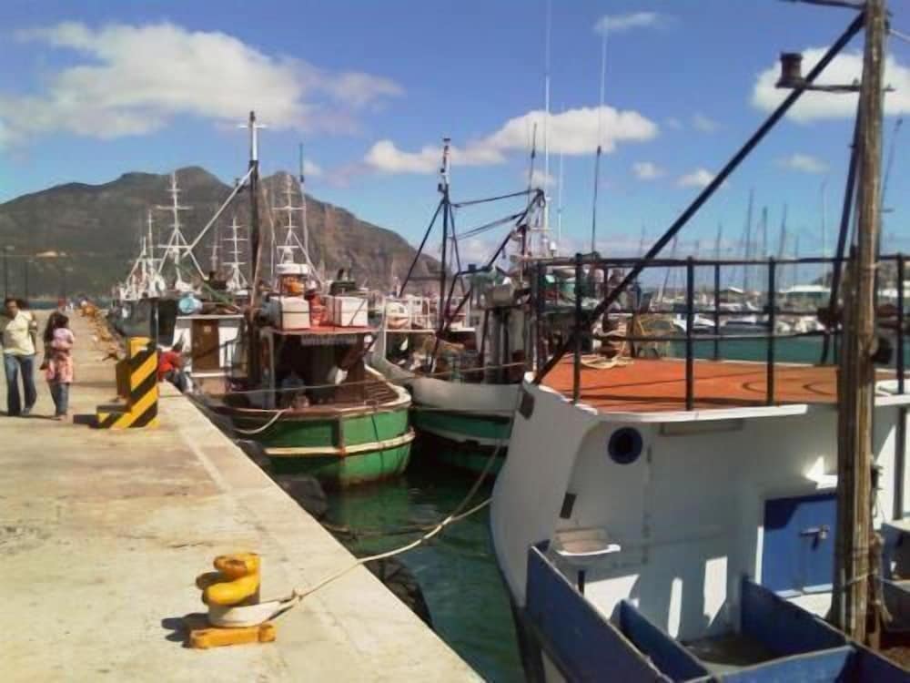 Фото Seacliffe Lodge