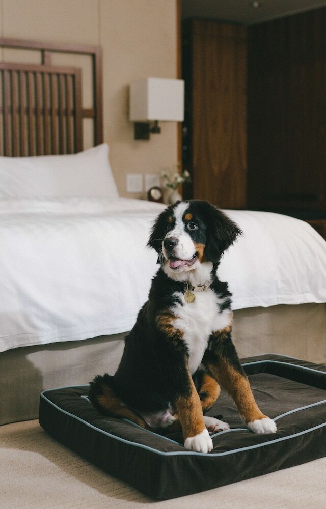 Фото Hyatt Vancouver Downtown Alberni