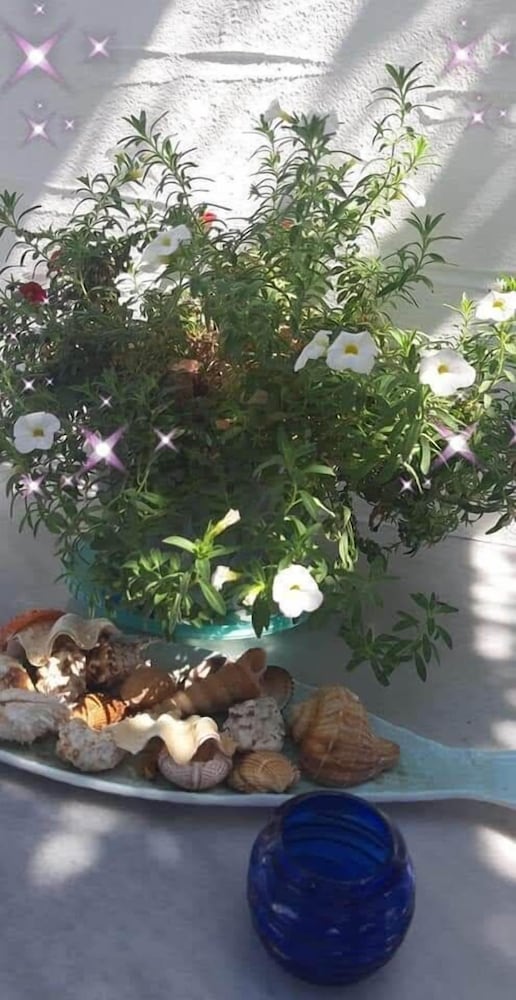 Фото Pelagos Studios