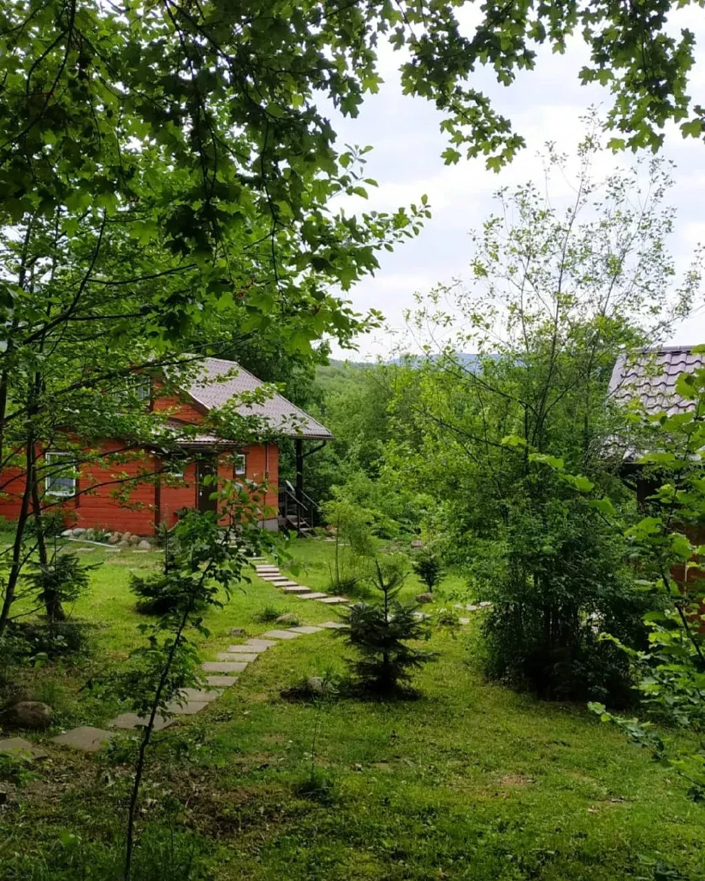 Фото Шале Дрозды