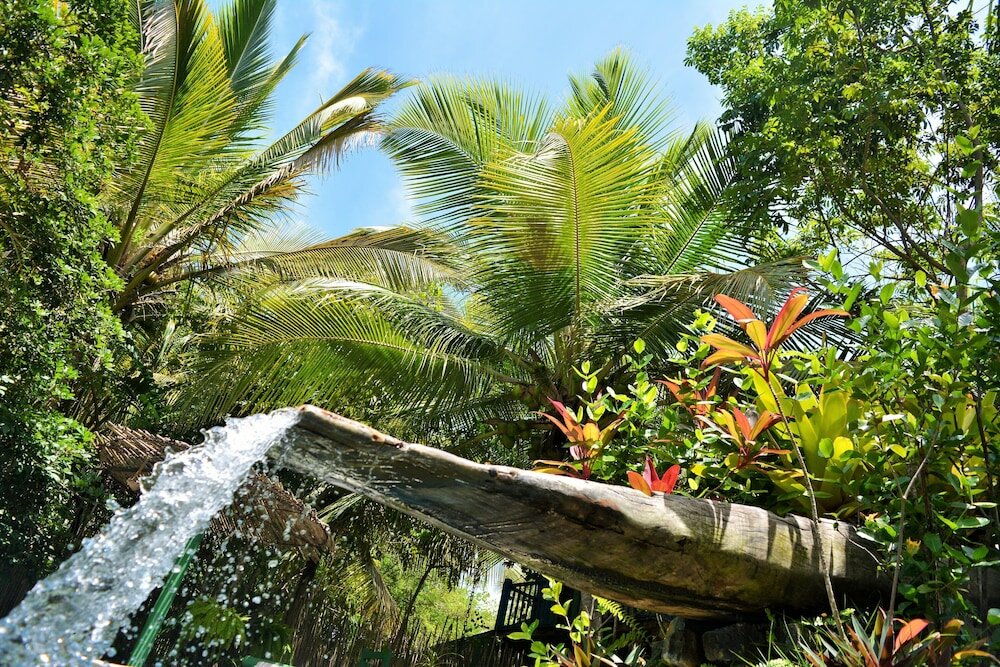 Фото Butterfly House Bahia