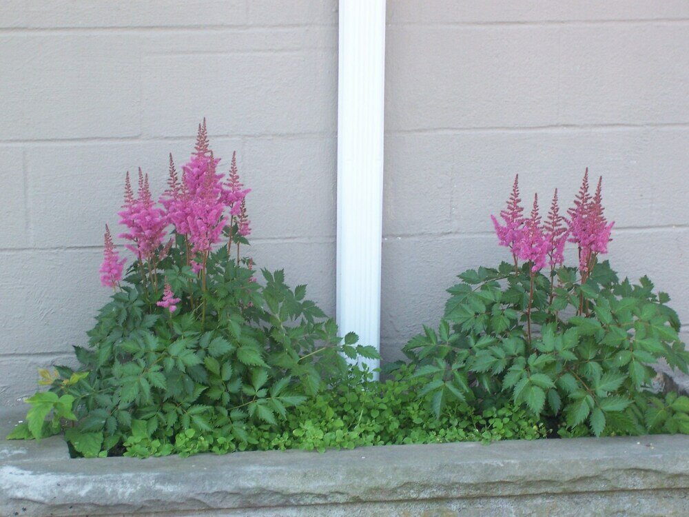 Фото Clarence Inn