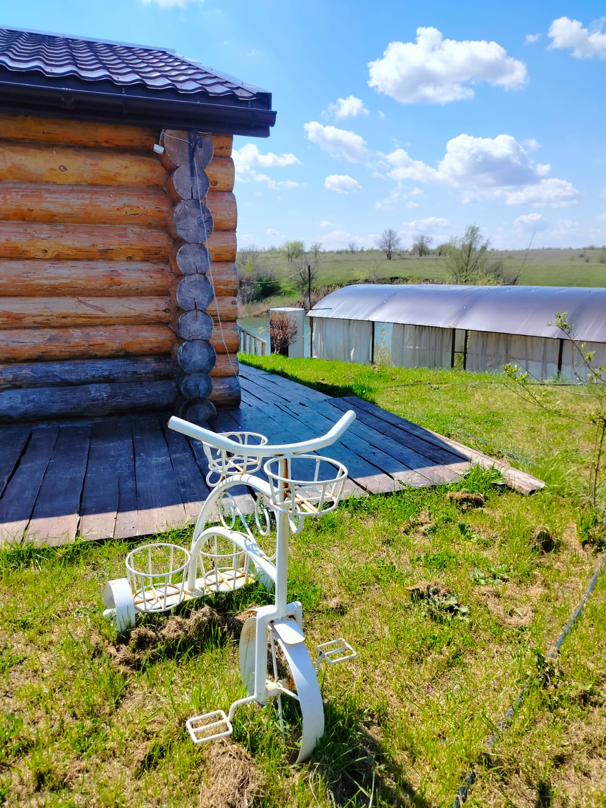 Фото Орловский пруд