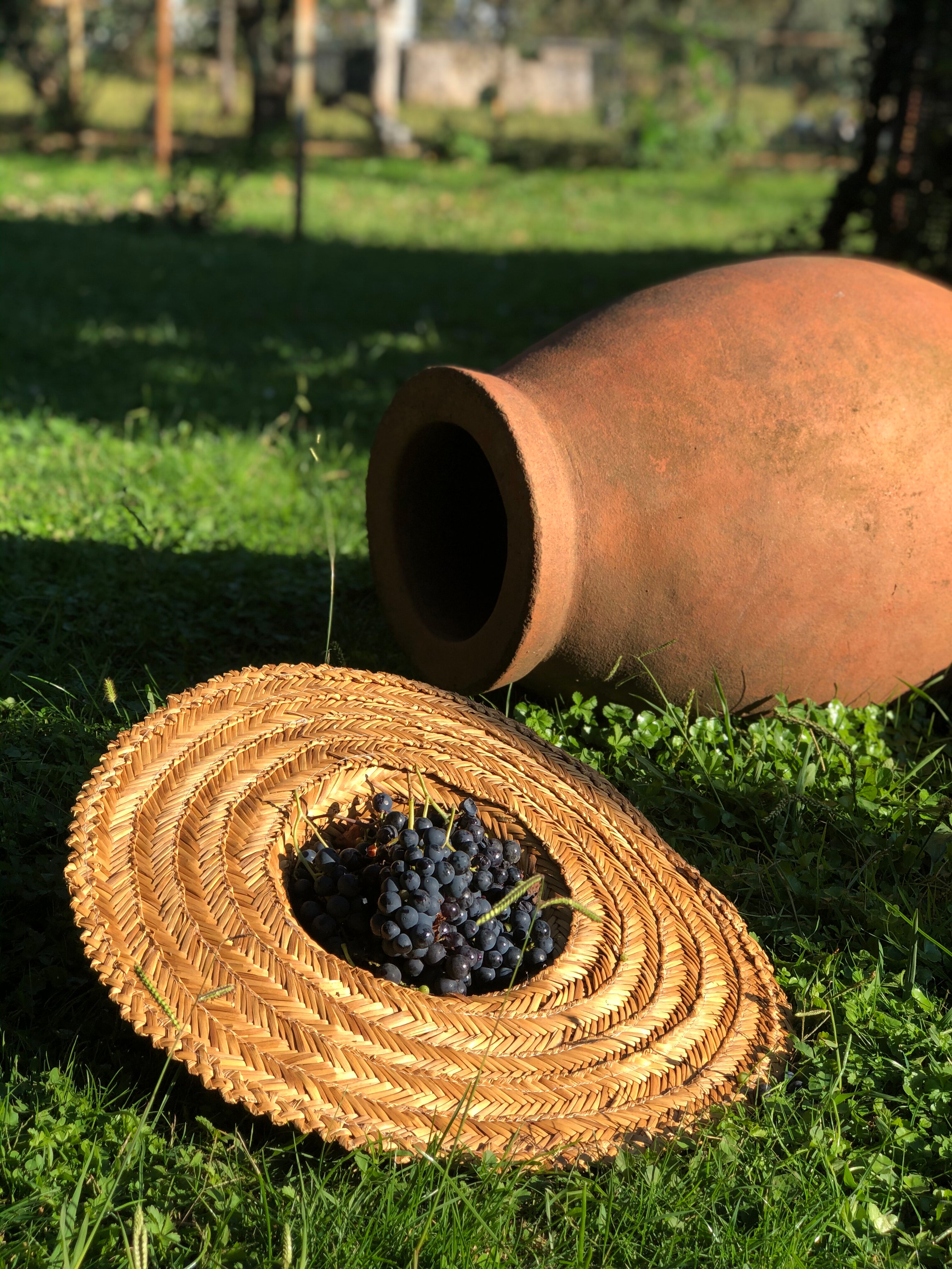 Фото Константа