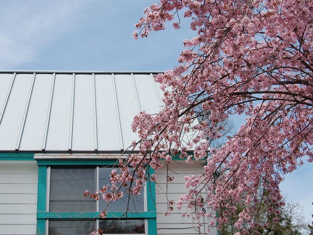 Фото Onsen Pension Hanasakiyama
