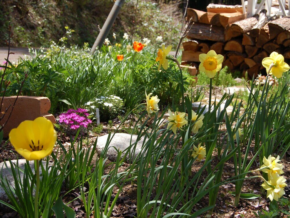 Фото Onsen Pension Hanasakiyama