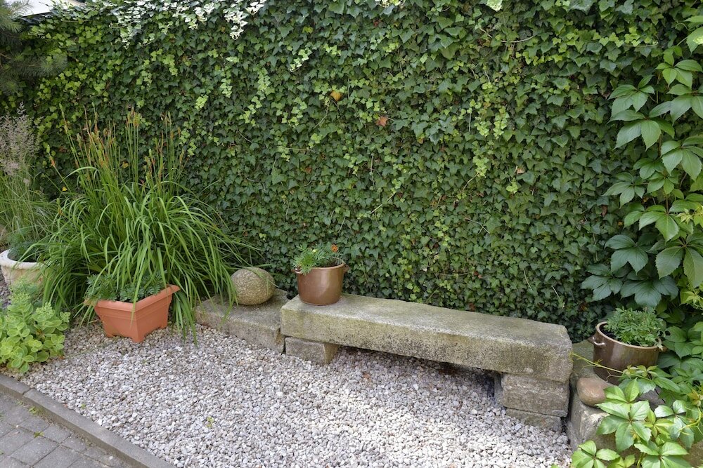 Фото Penzion Jasmín