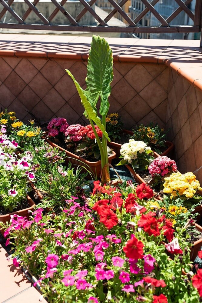 Фото L'attico Fuggente