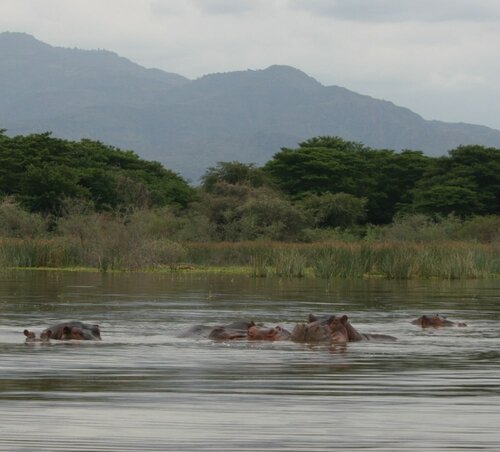 Гостиница Mora Heights Hotel в Арба-Мынч