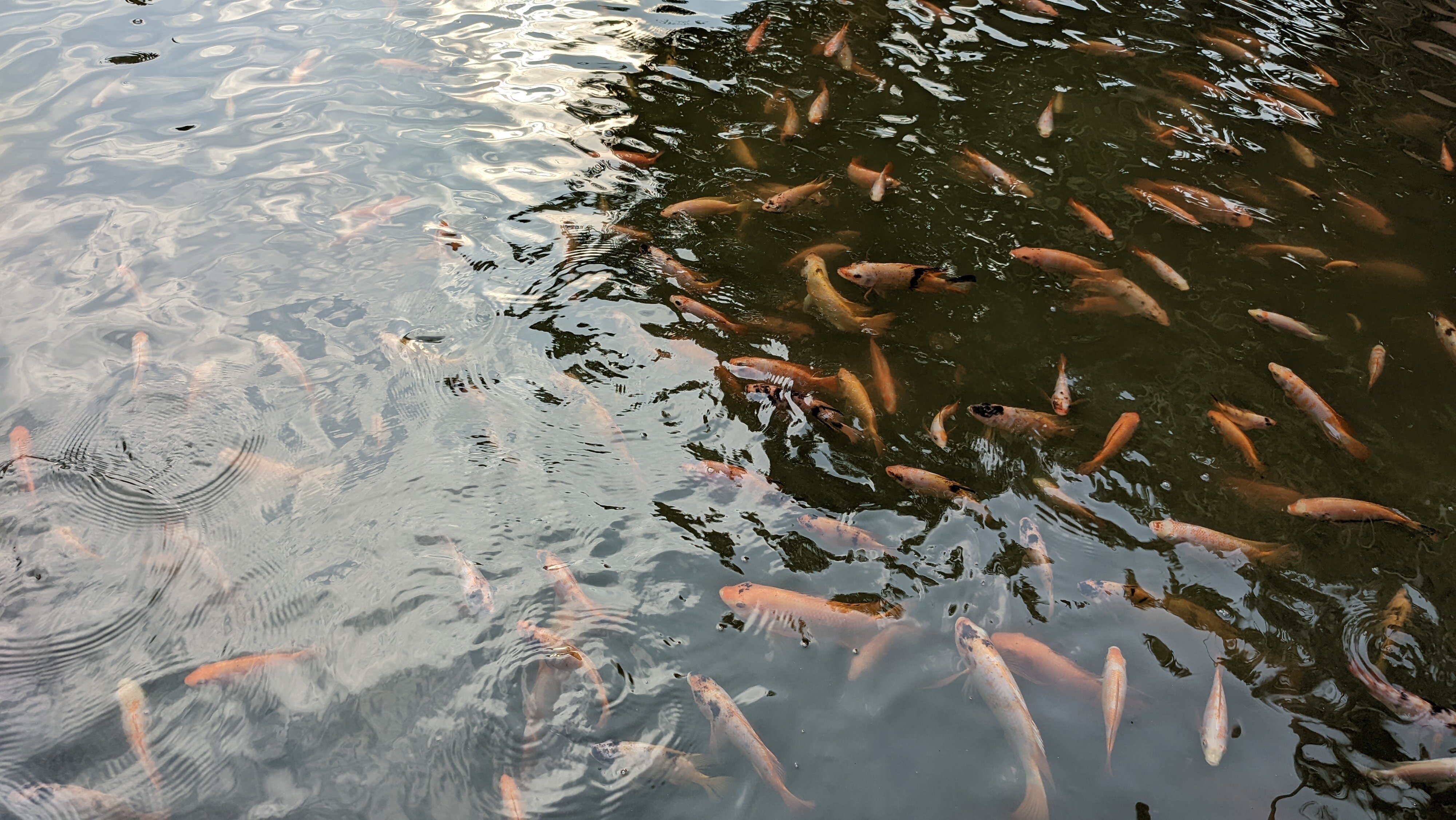 Фото Wora Bura Hua Hin Resort & Spa