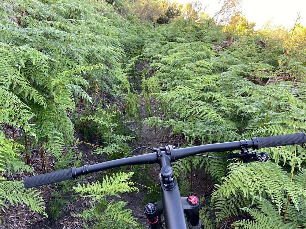 Фото Rijks Wine Estate and Hotel - Adults Only