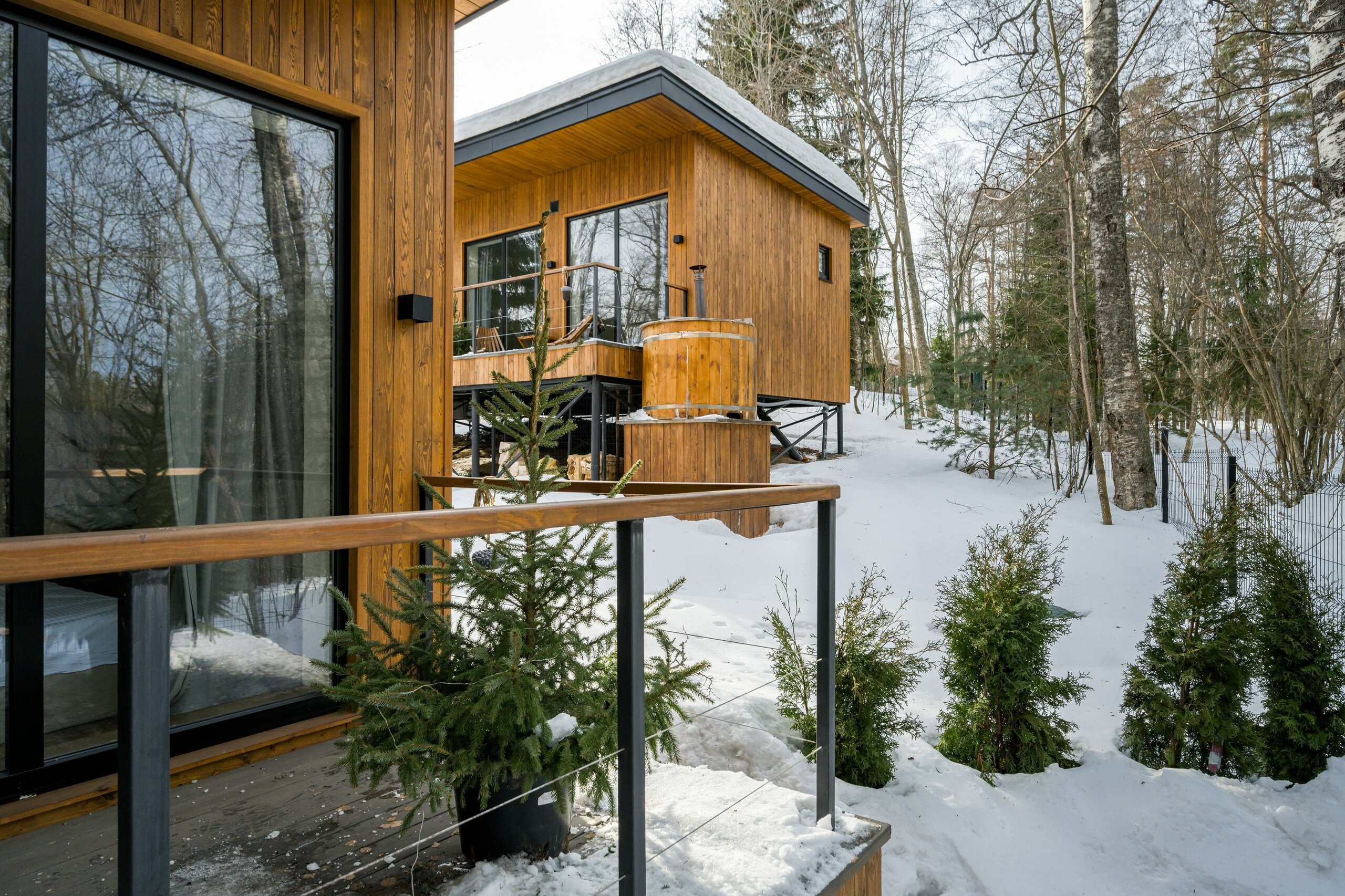 Фото Лесной восход