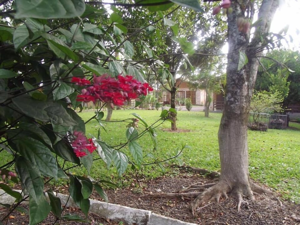 Фото Pousada Vó Liane