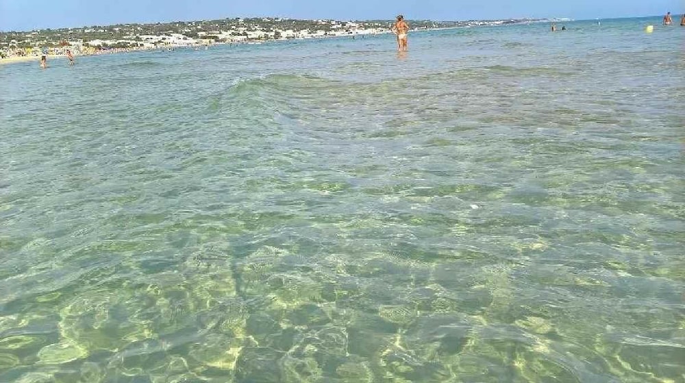 Фото Dolce Mimì