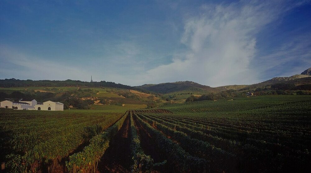 Фото Laborie Estate